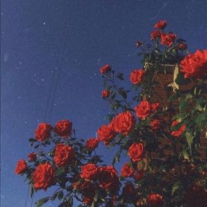 Meet your Posher, Fernando